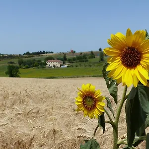 Des Camparros 3* Nailloux